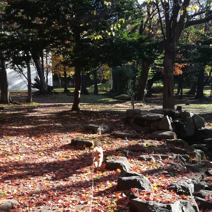 B3ac75d0 6c63 438c b81e a40d84236807 1541209731616