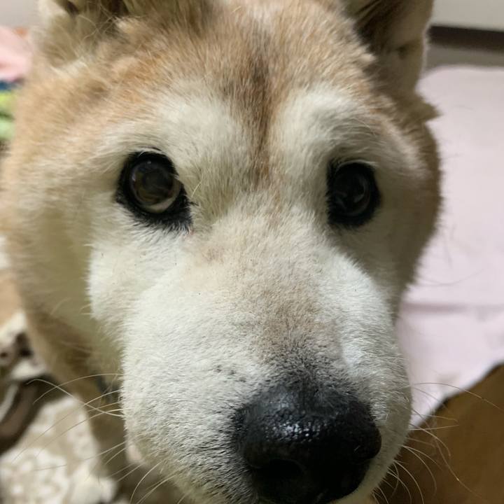 B3ac99f0 93cf 4dcc b532 be99411070db 1676552088605