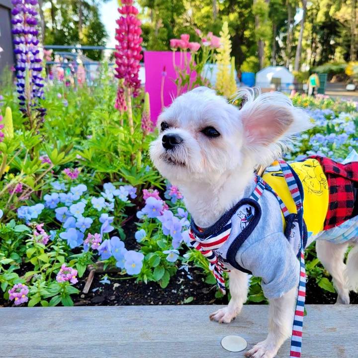 B3ac9b92 0c89 4b7d 8314 9bbcd73f7eac 1648965789132