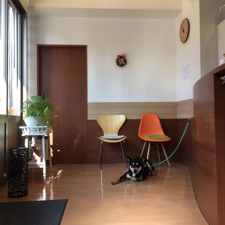 B3ac9f08 8fa3 4512 96a1 14e91c0c8c55 1515231541667