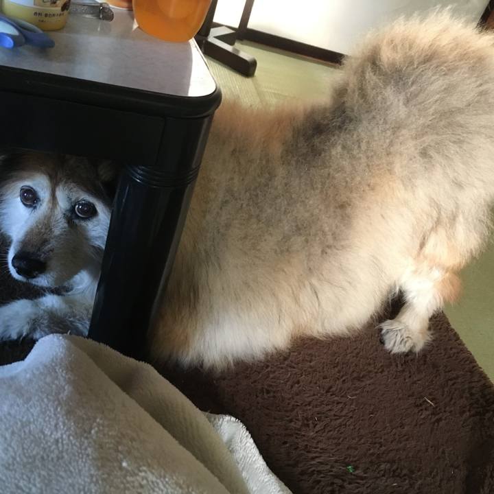 B3acad81 ba89 4dd3 9062 f011e2b4c9fc 1608406304796