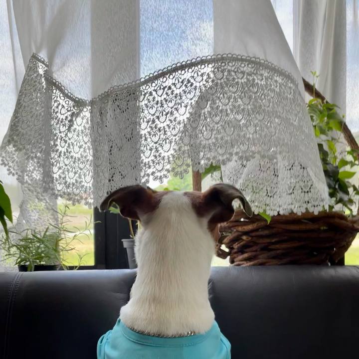 B3acdef4 b9c0 464e 9c02 7a462886e535 1624601902752