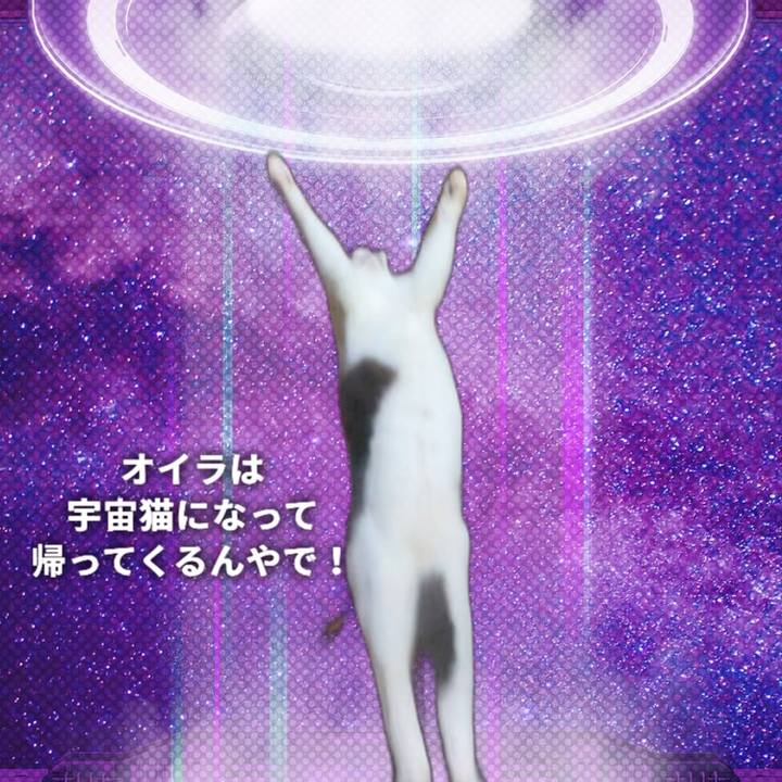 B3ace67c 27f7 4608 86d4 46cdca10c079 1755101066466