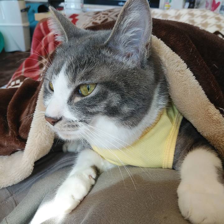 B3acf825 5485 49f2 a422 7aba4329ed1b 1584403643656