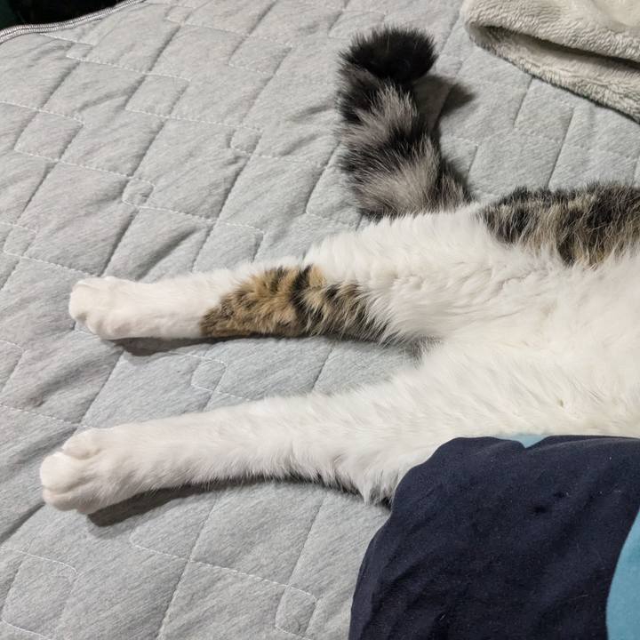 B3ad0b5c 8a83 4783 ae1c 007a95483e4c 1719133071495