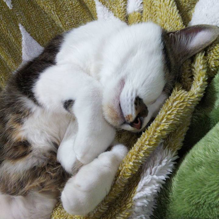 B3ad33bd 6e92 493c 8eab cd690909f342 1645187948814