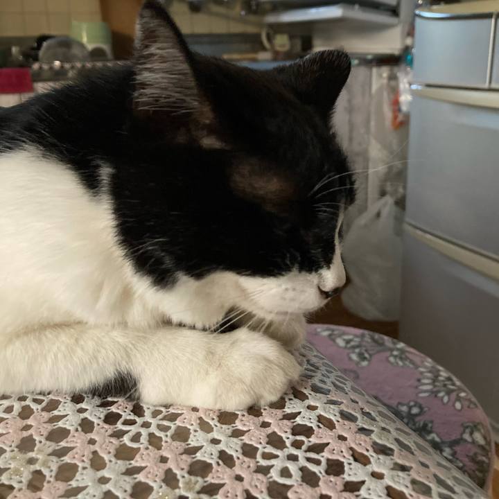 B3ad4e56 b233 4a55 b7c4 9c8bbd3bbb13 1692197273497