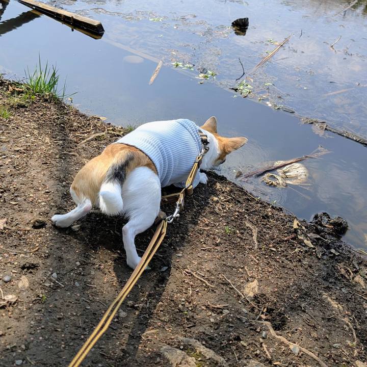 B3ad5963 6251 4b6e 861d ffae603a4d41 1774768088540