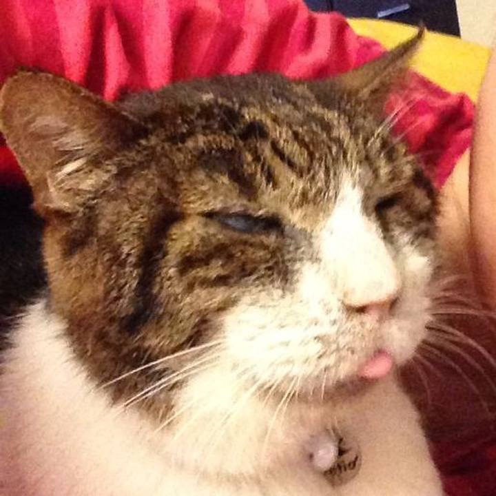 B3ad7477 7ce8 4c67 b5f2 9e559d2e744e 1609390698646