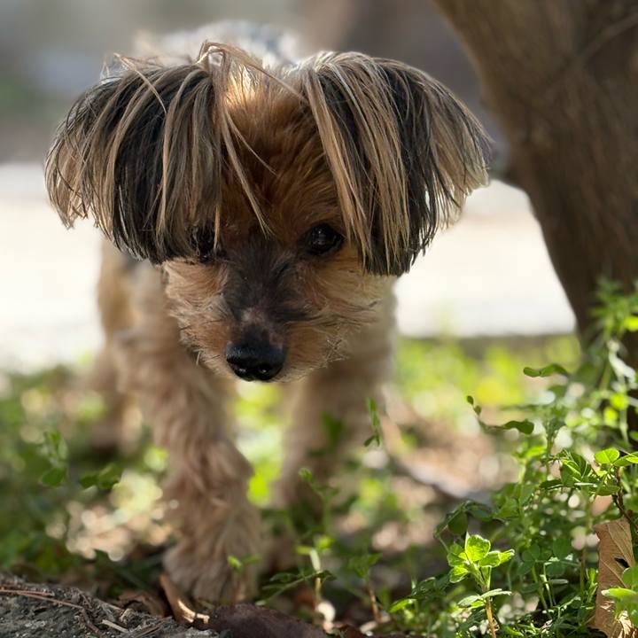 B3ada3ea 3aab 4077 b73a 4935583174d5 1771127631189