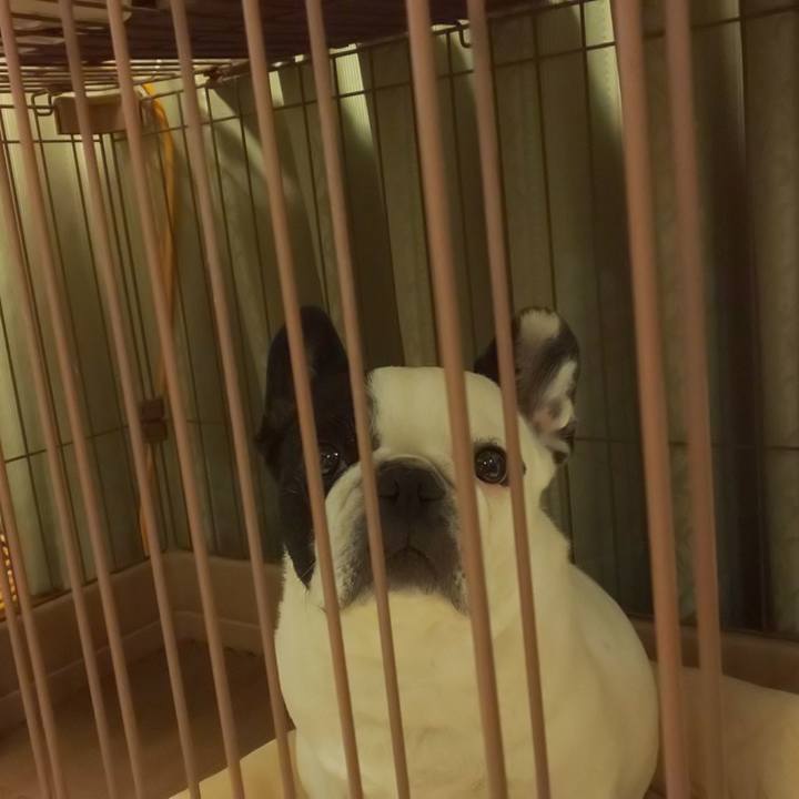 B3add35d 9bd4 41b0 8cdb bae5b0b5afe1 1633173125614