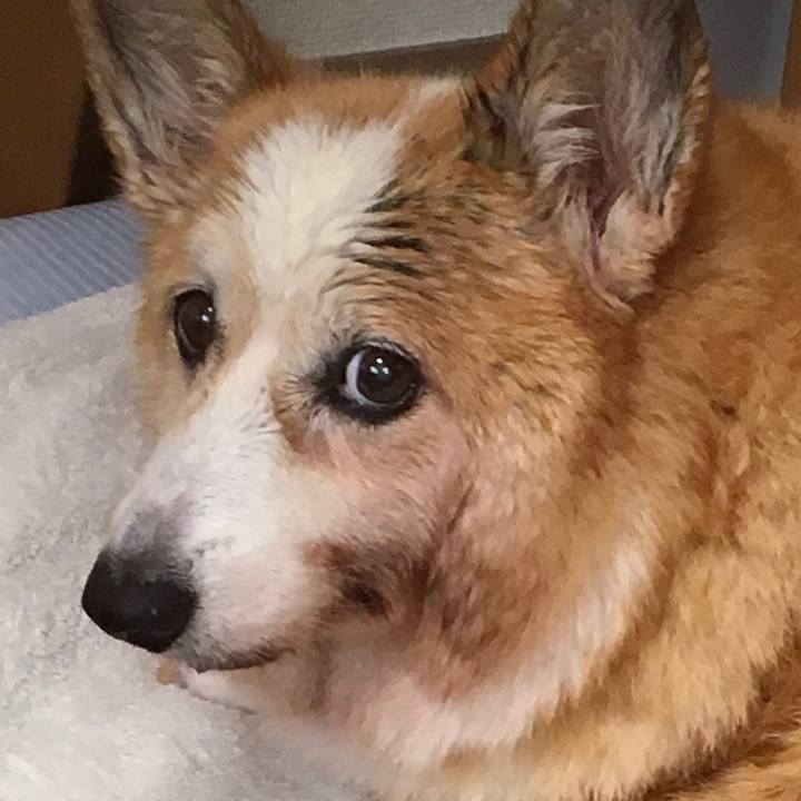 B3ae29d6 bbf6 4427 9d61 1165e4b8d520 1566278589463