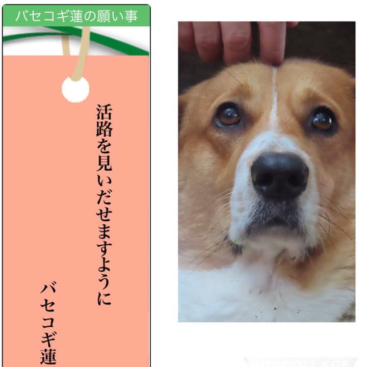 B3ae41ad 567b 4310 9fe6 4d220b93bd43 1657117095661