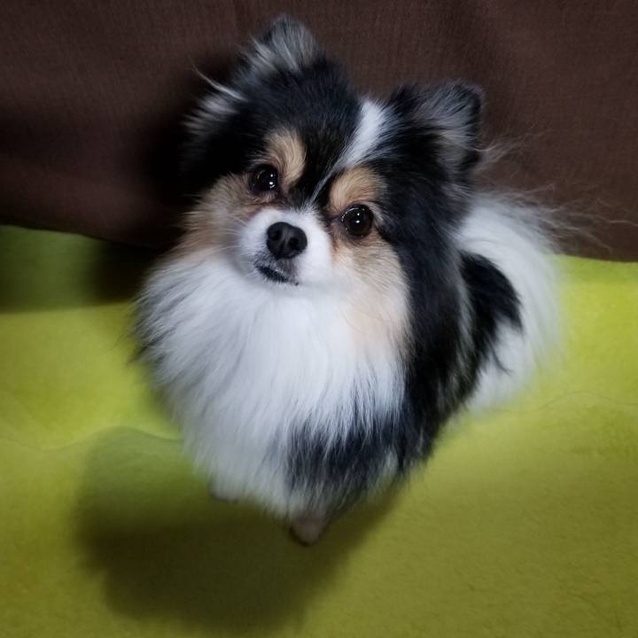 B3ae41bc 9b28 41ec 8204 4b4925dc324f 1545778910940