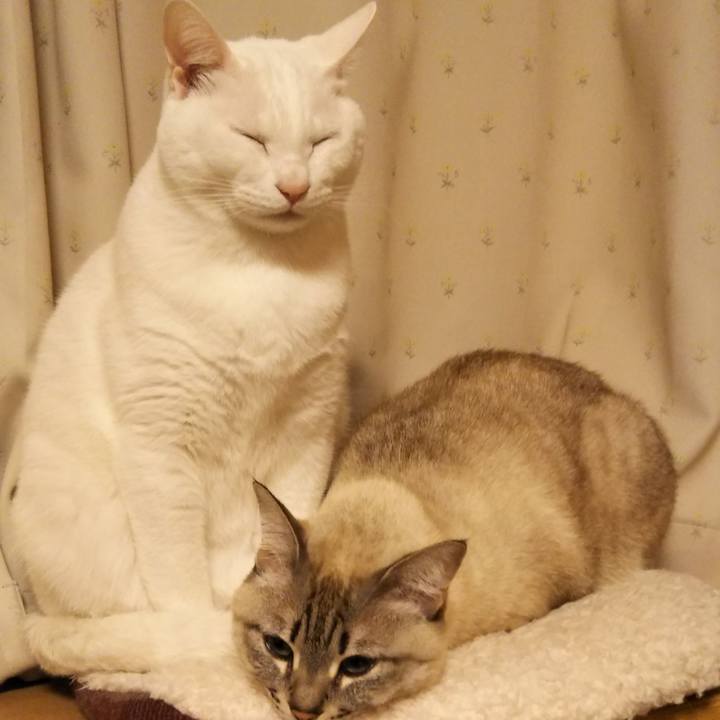 B3ae612d b41c 4e39 aa29 3c183eae1308 1550804658649