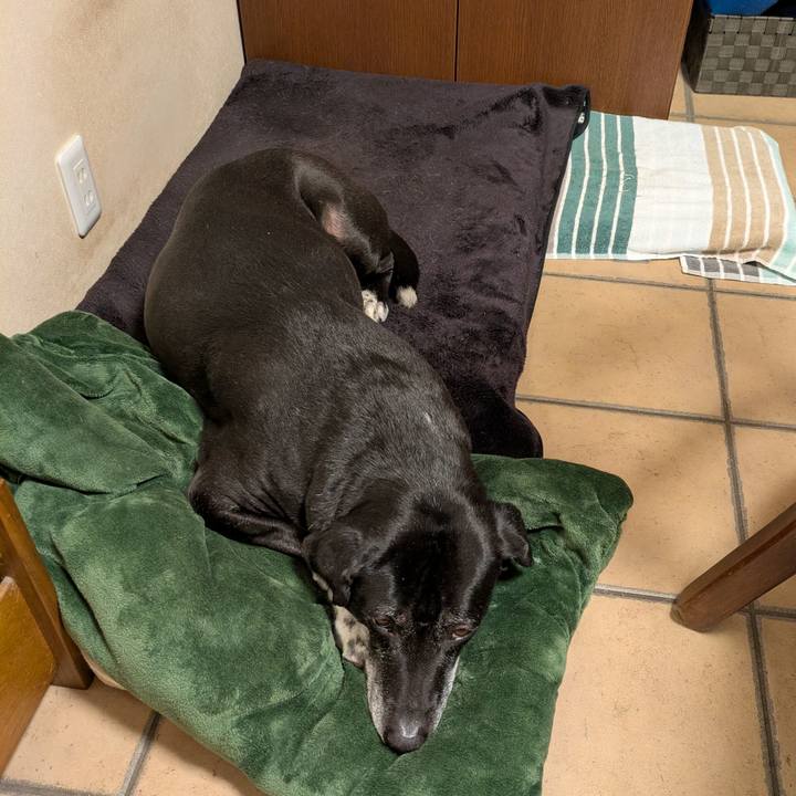 B3ae824b bc58 4fc1 b69c c37186d646d1 1738973922496