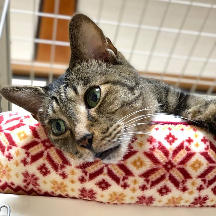 B3ae8beb 6906 4e7d a397 b3f660b7cc80 1573780393197