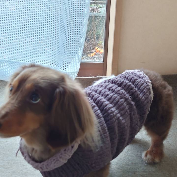 B3aede6a 5672 457c a6cf 98aa5d3499b5 1708404616197