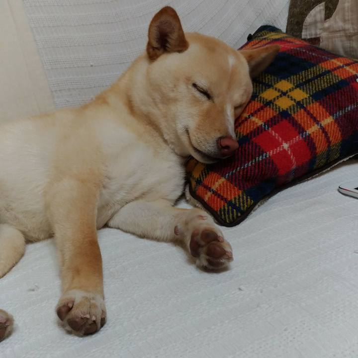 B3af09c9 6983 4fe4 9a9a 0d0979f730f5 1520169321732