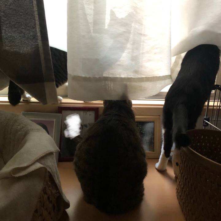 B3af1d02 ed17 4e24 a3a1 12ddb8d18aee 1558642492542