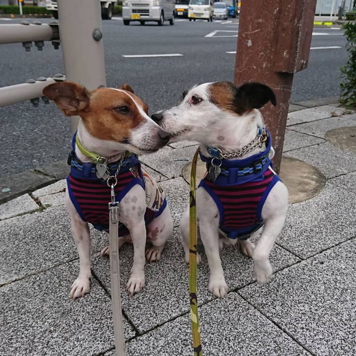 B3af1d95 e4a5 4169 947b 48b72507d822 1571609595257