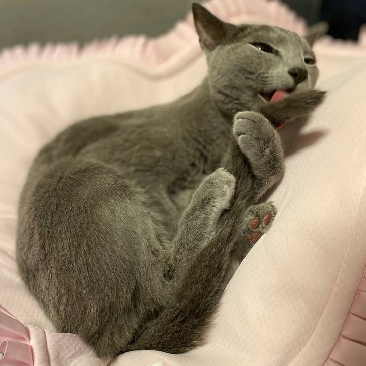 B3af2e91 5414 41bc b20b 585bb8871ca2 1691932757955