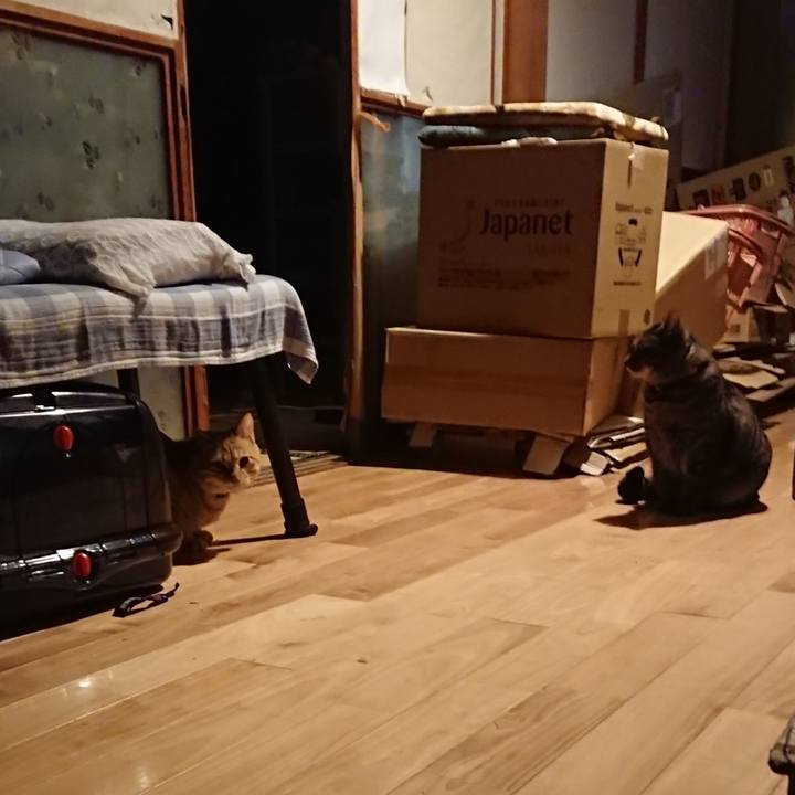 B3af3595 63ec 440f 9240 4a405ac0e3cb 1644143127699