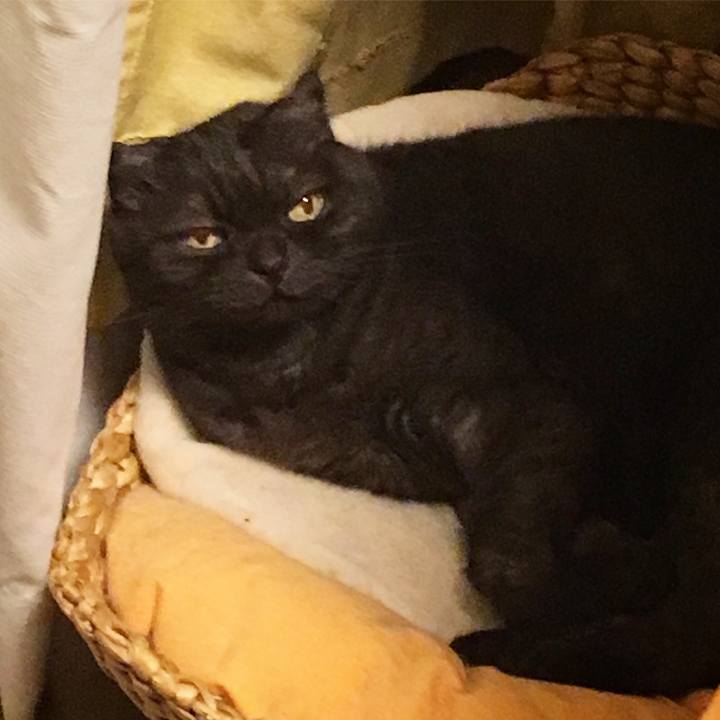 B3af86c1 8c00 4e25 97ce d4a3574bfc15 1564930024158