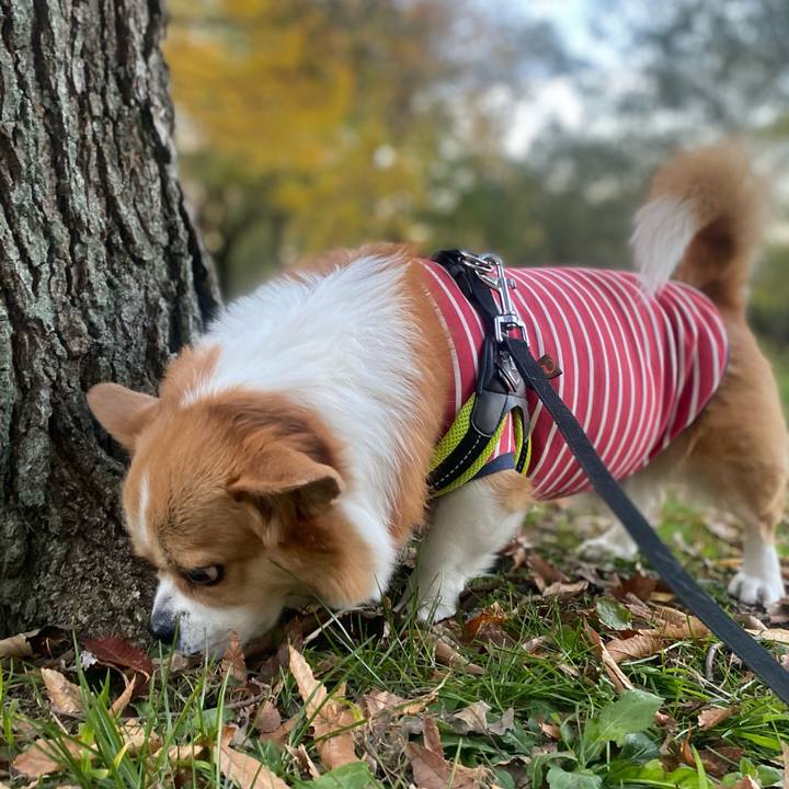 B3af8cb2 7d7f 4d97 a411 89750aa175d7 1763970726698