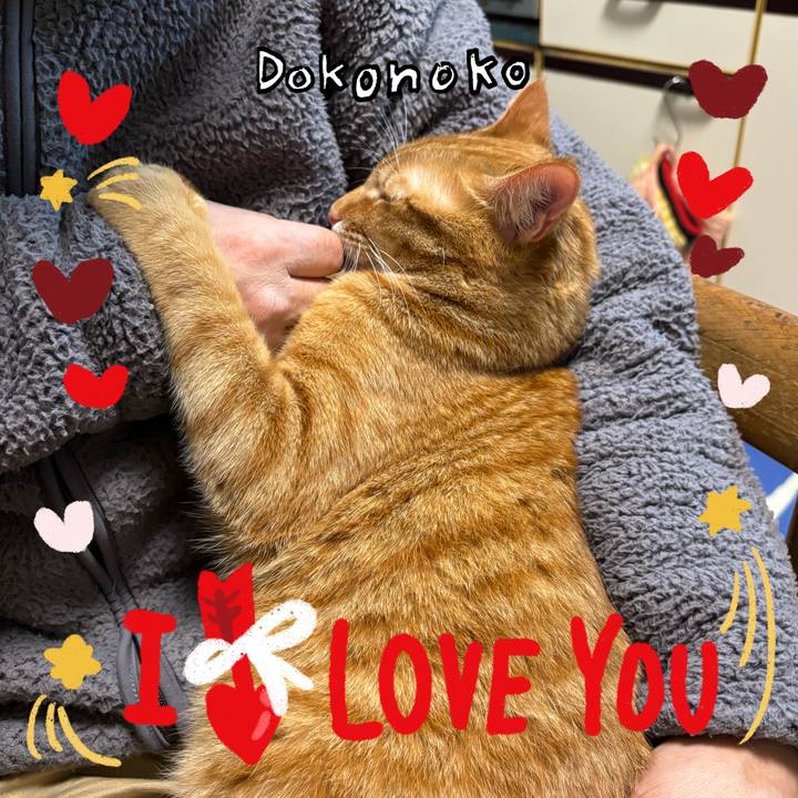 B3af9b20 af6f 422e 942c 1ac532a5ec77 1707105849504