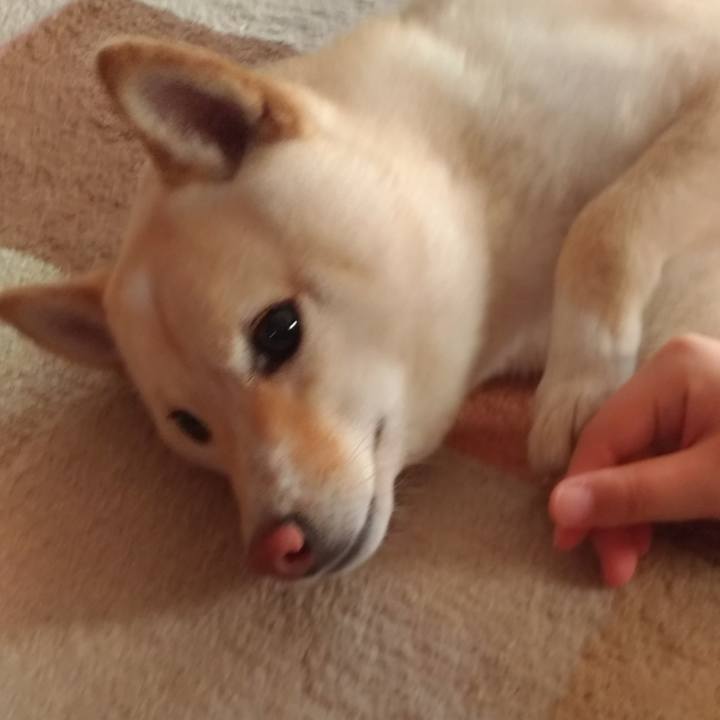 B3afb018 1905 4f98 9411 40dcb99952a4 1558913664689