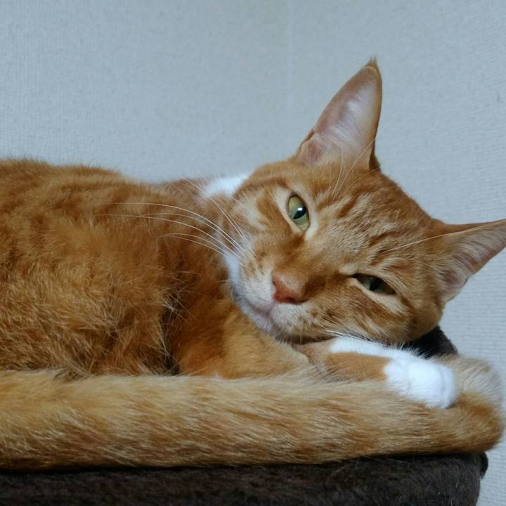 B3afc485 290c 4853 9e5d 4677de3ad819 1562249911958