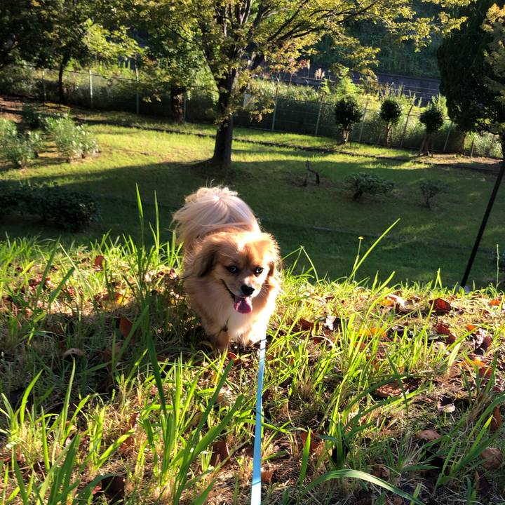 B3afe7f1 adee 410b 92a2 ef9a13932415 1568588379721