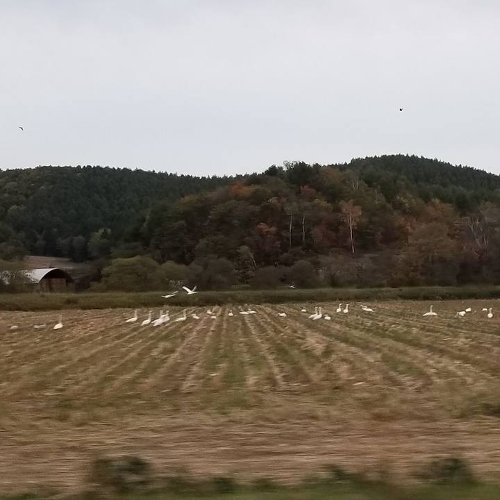 B3b04732 d4e9 4007 863c 86e1ced0ec13 1634393971380