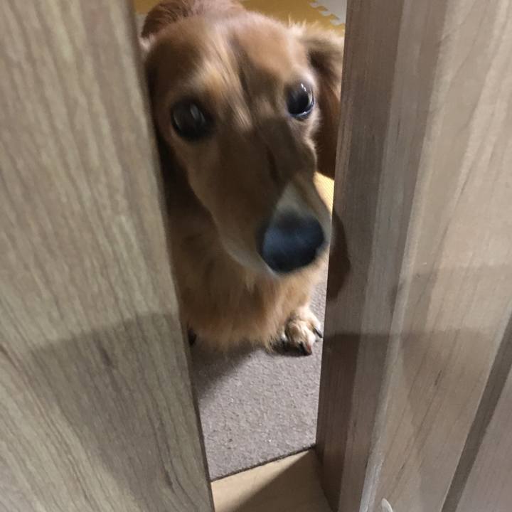 B3b072f3 eb01 43aa 9e74 b6d255ac022b 1596539900749