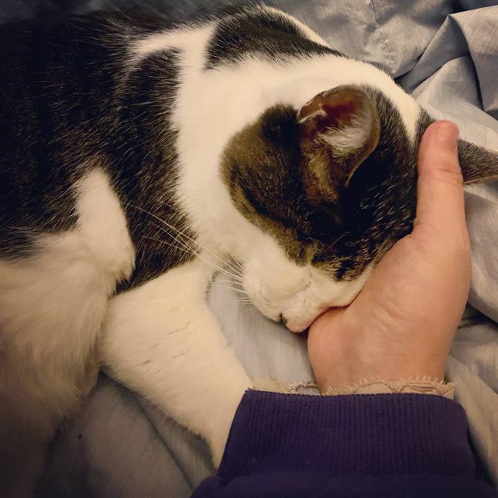 B3b0b967 1f7e 41b5 aaf8 e7206c3610a4 1614086647173