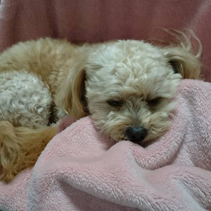 B3b0c3fc f77d 4a0d a925 c16fa76ca2d0 1508666214075