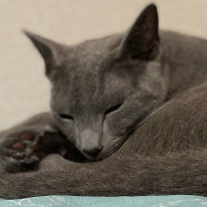 B3b0d0f5 8942 4ca0 85a4 c5c03f26e165 1623498413264