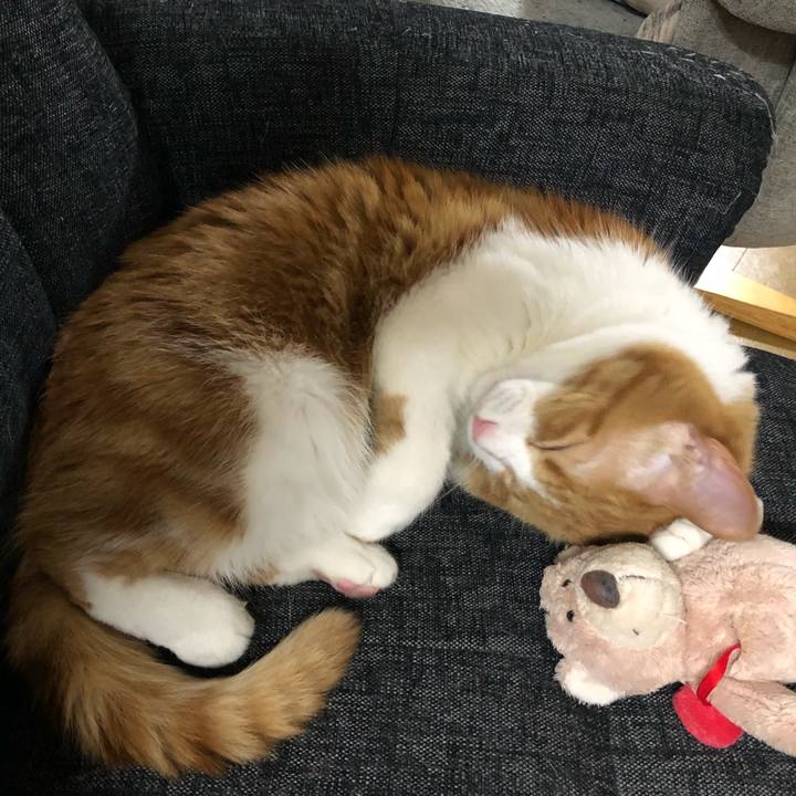 B3b0d83e 05df 41c5 be62 3fd16ee1685d 1524056273865