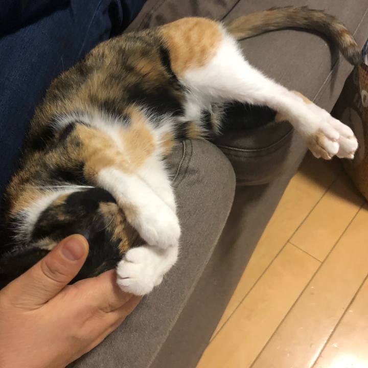 B3b0f83a b560 49df b203 c4766de2d3b6 1570456164565