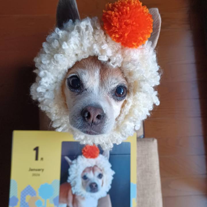 B3b0ff4f f02a 44a2 af14 44df27065649 1768432289173