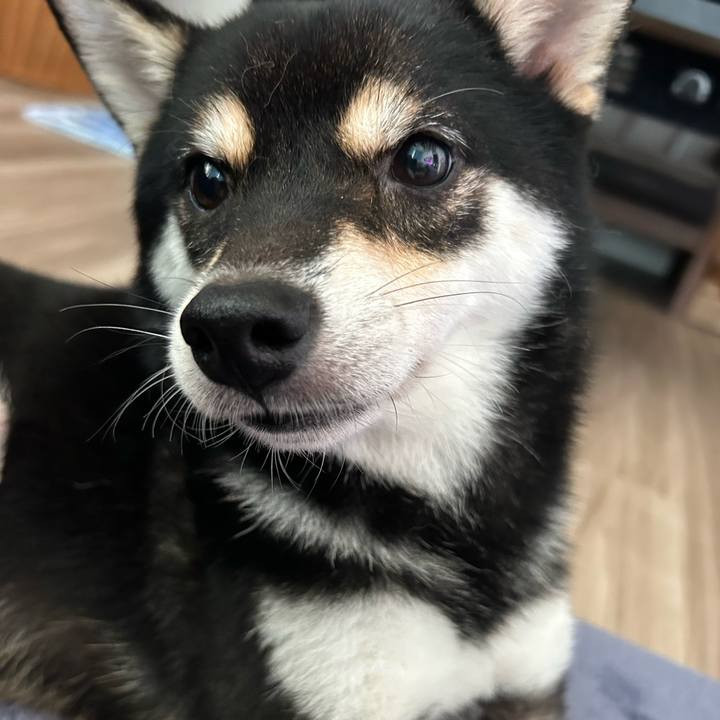 B3b118b7 f0ec 4912 8bbb 6ed444997358 1729310193267