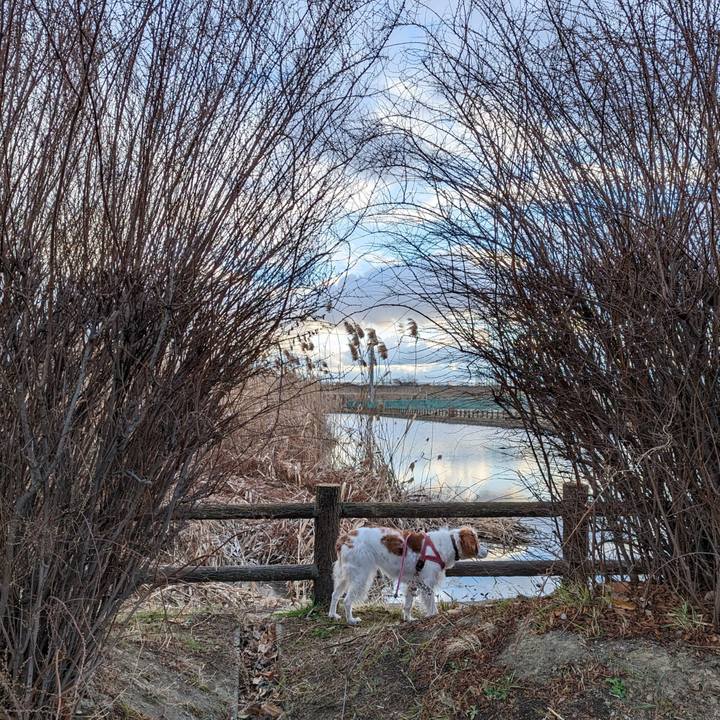 B3b16355 926a 4fb9 b151 18ab6cc43458 1674637168800