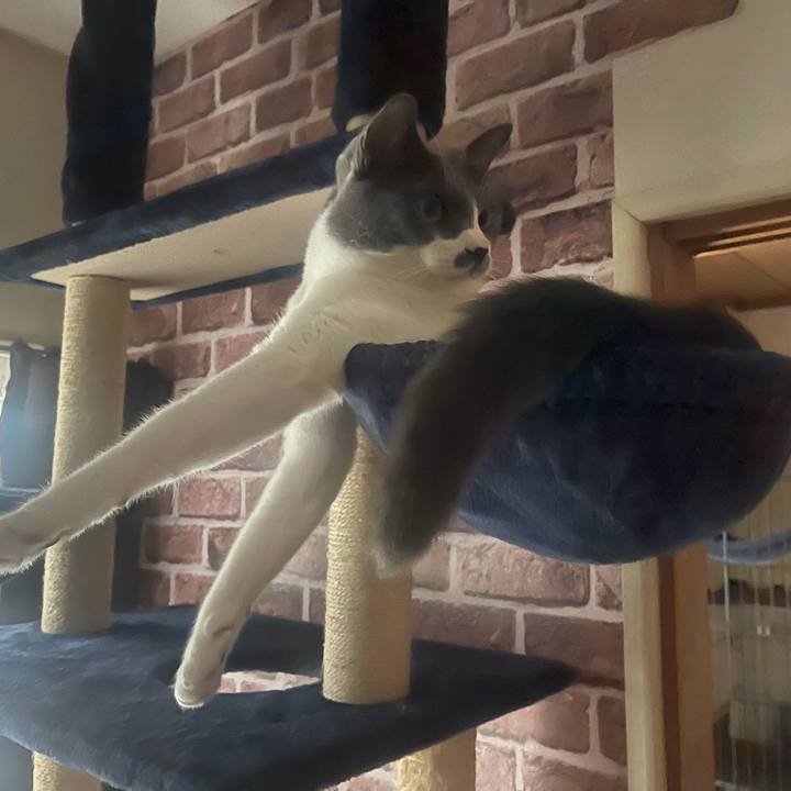 B3b16ca2 e5d2 4d1e 85c2 d3b5c451c233 1631002937007