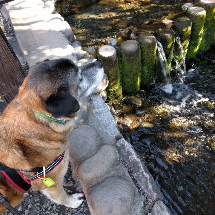 B3b1acd9 04c3 449c 927b 9d2300e87371 1519953424971