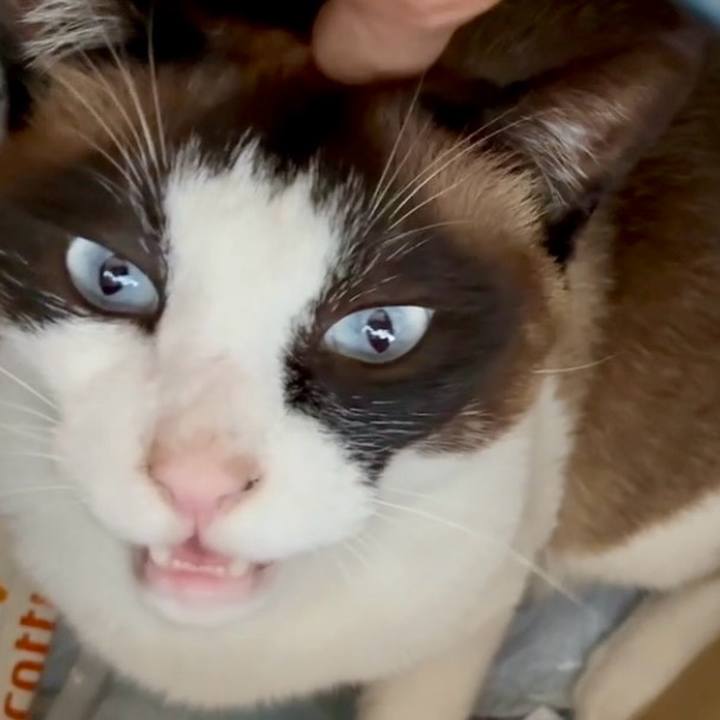 B3b1d1bd 7fd7 49c9 b4fd ea081ae42adf 1749088474897