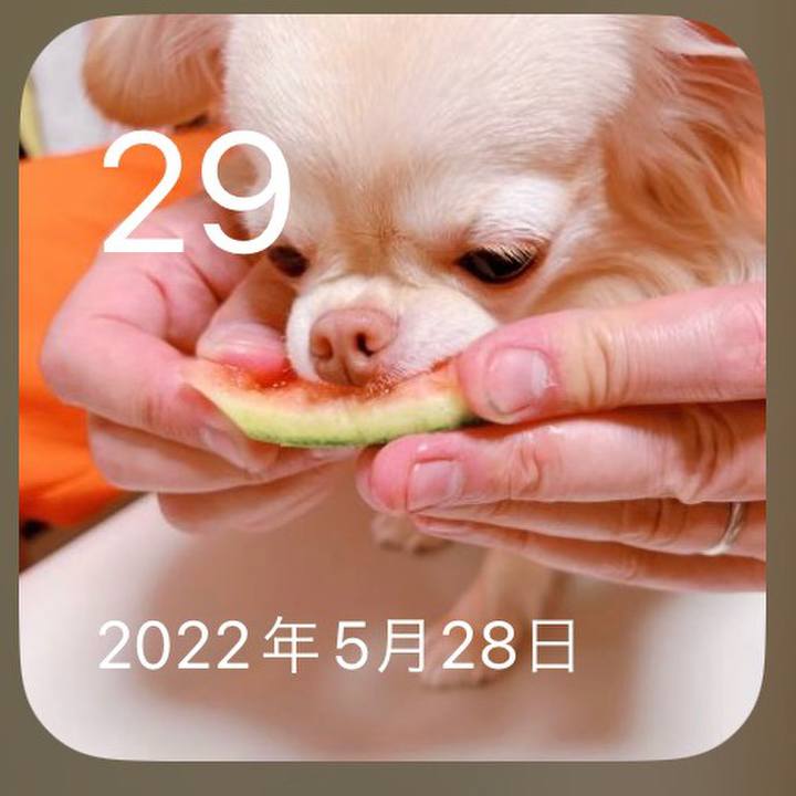 B3b1d216 4e83 44cf a3fc f33a050f3bbc 1685413003654