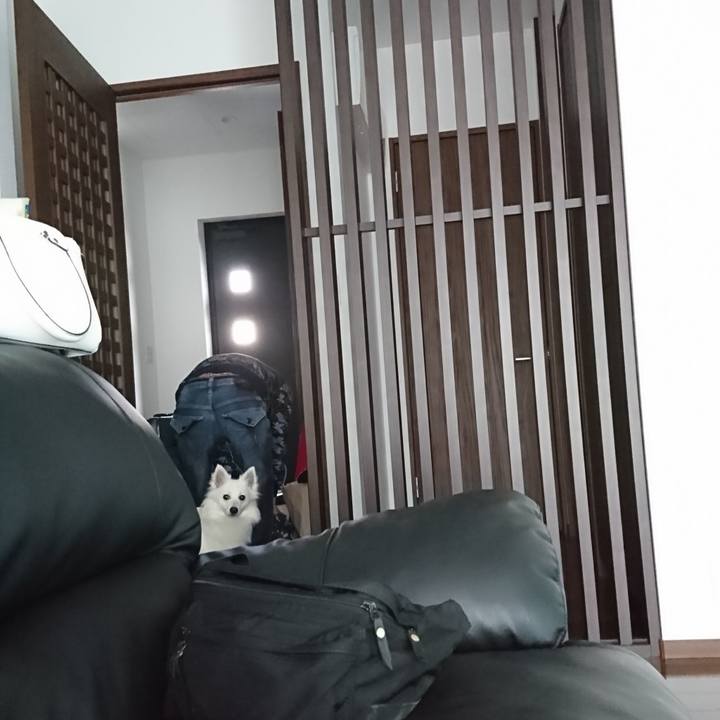 B3b1d88b 77ad 43c1 87f6 21d2cb35ecfd 1524876122739