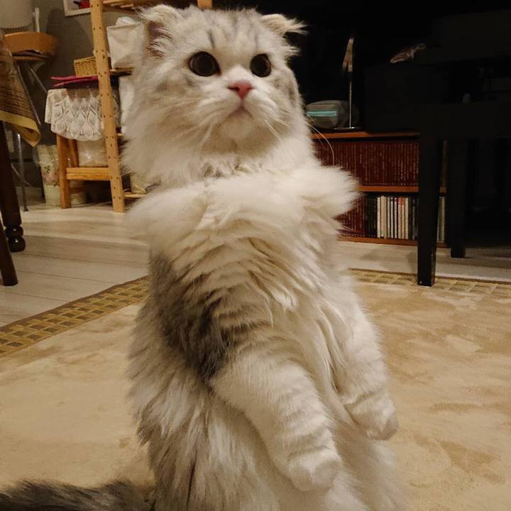 B3b1e179 1a5b 40c3 9b20 8f3b748de967 1609412064077