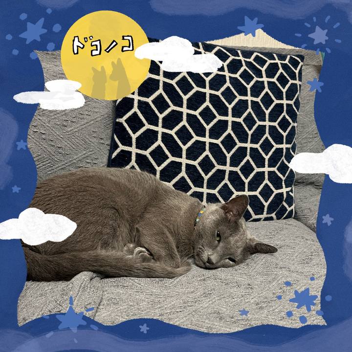 B3b1e939 7991 4a76 909f 339ce6335998 1726991374539